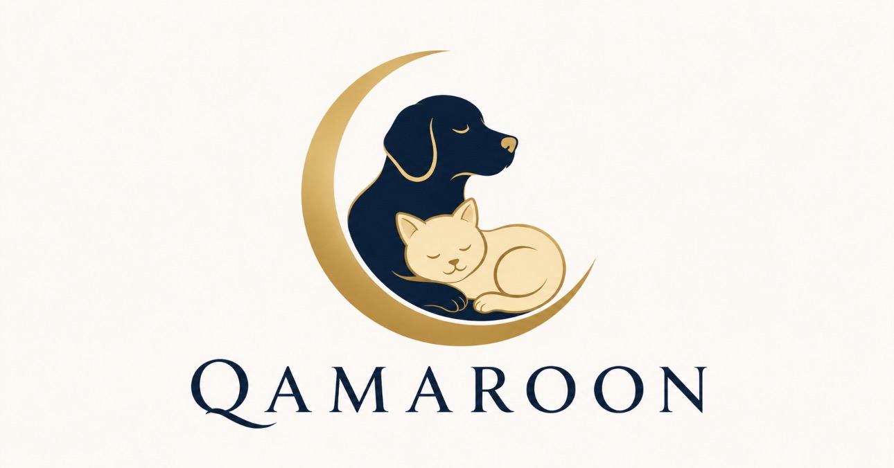 Qamaroon